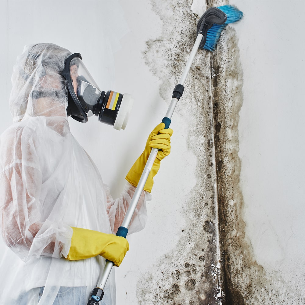 veilige schimmelverwijdering door persoon in beschermende kleding.